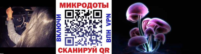 Галлюциногенные грибы мухоморы Зубцов